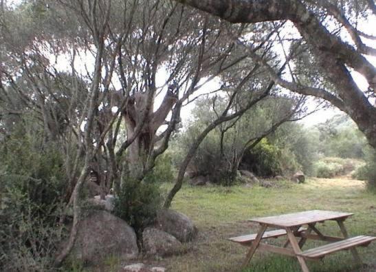 Holiday home Les Bergeries D'ogliastrello